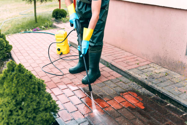 Best Gutter Cleaning  in Baltimore Highlands, MD